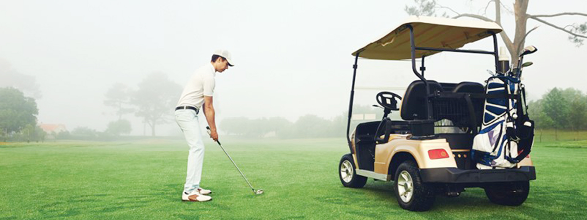 Golf Cart Market Size and Growth Forecast-1