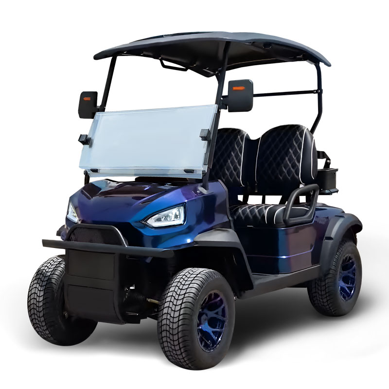 FYD-GL-B2 Polarized 2 Seater Golf Cart