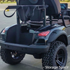 FYD-GL-C2 Black 2 Seater Golf Cart