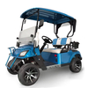 FYD-GL-A2 Blue 2 Seater Golf Cart