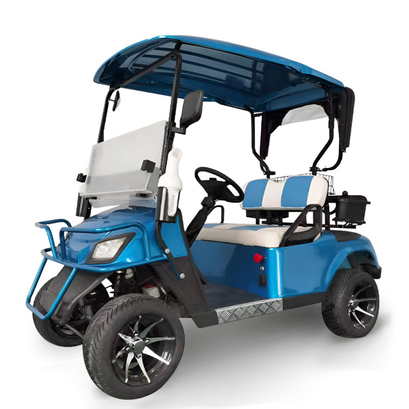 FYD-GL-A2 Blue 2 Seater Golf Cart