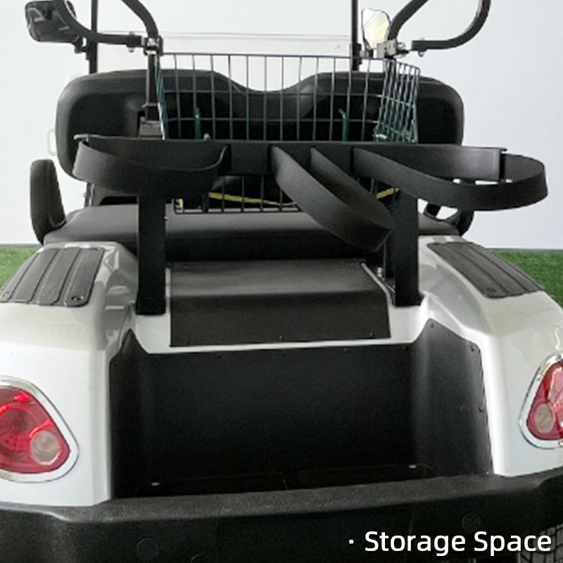 FYD-GL-A2 Silver 2 Seater Golf Cart