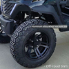 FYD-GL-C2 Black 2 Seater Golf Cart