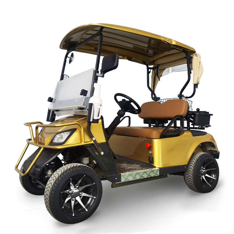 FYD-GL-A2 Gold 2 Seater Golf Cart