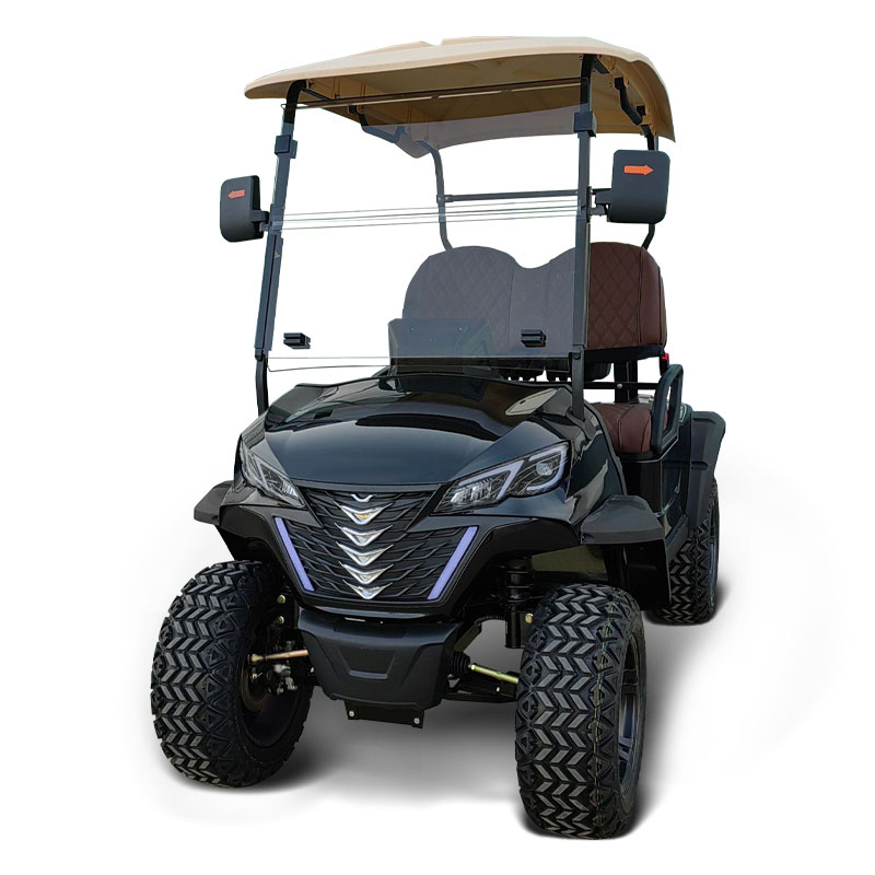 FYD-GL-C2 Black 2 Seater Golf Cart