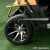 FYD-GL-A2 Gold 2 Seater Golf Cart