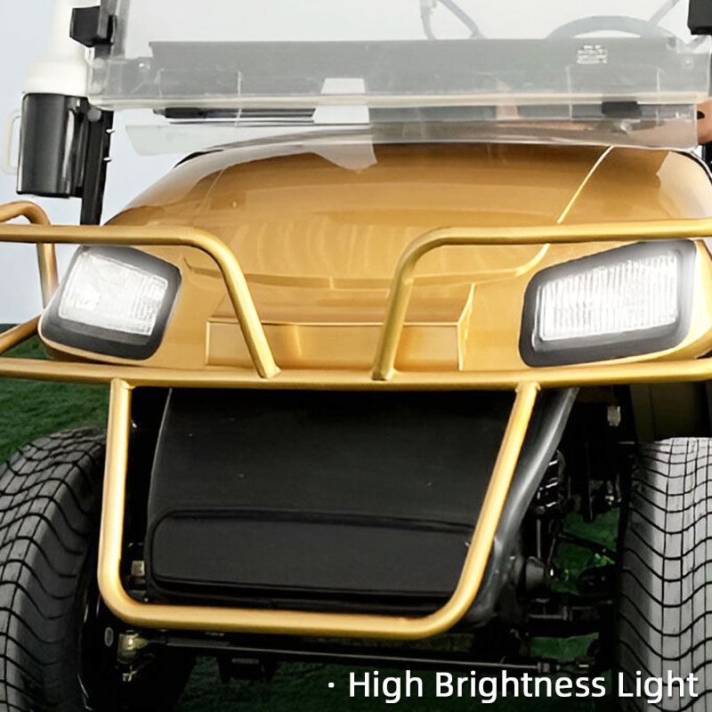 FYD-GL-A2 Gold 2 Seater Golf Cart