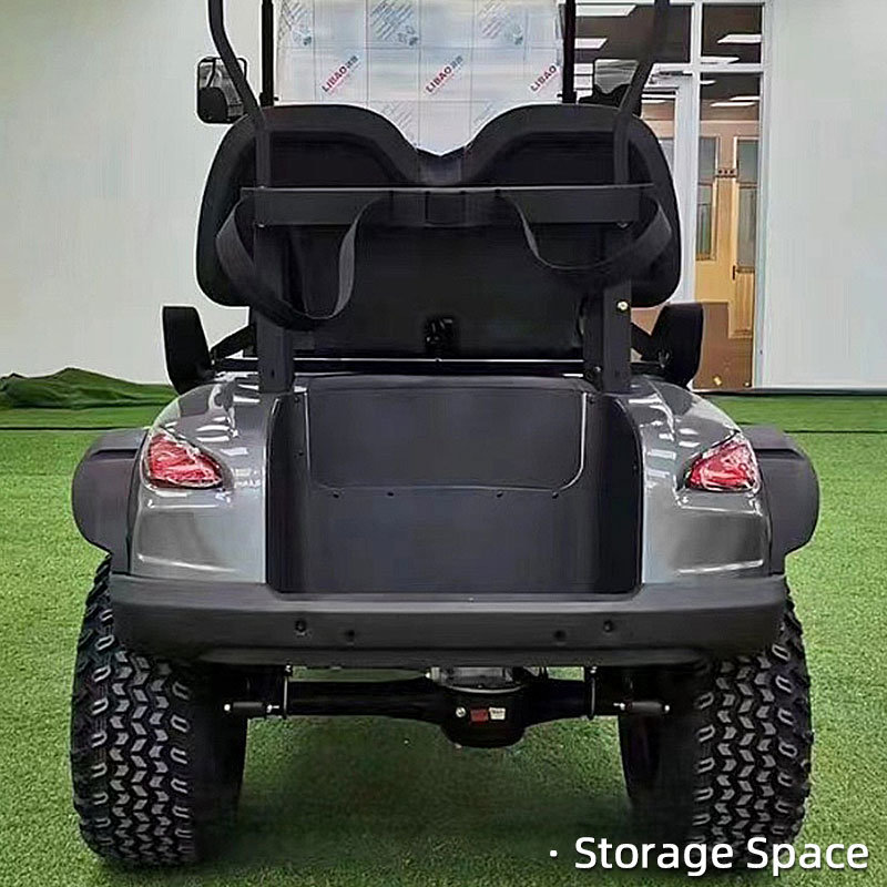 FYD-GL-B2 Gray 2 Seater Golf Cart