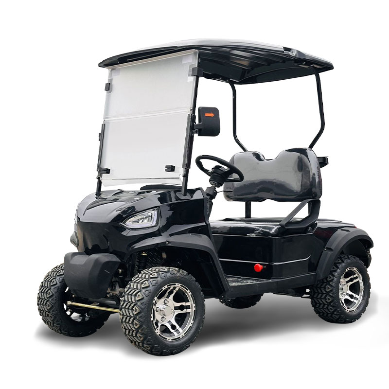 FYD-GL-E2 Black 2 Seater Golf Cart