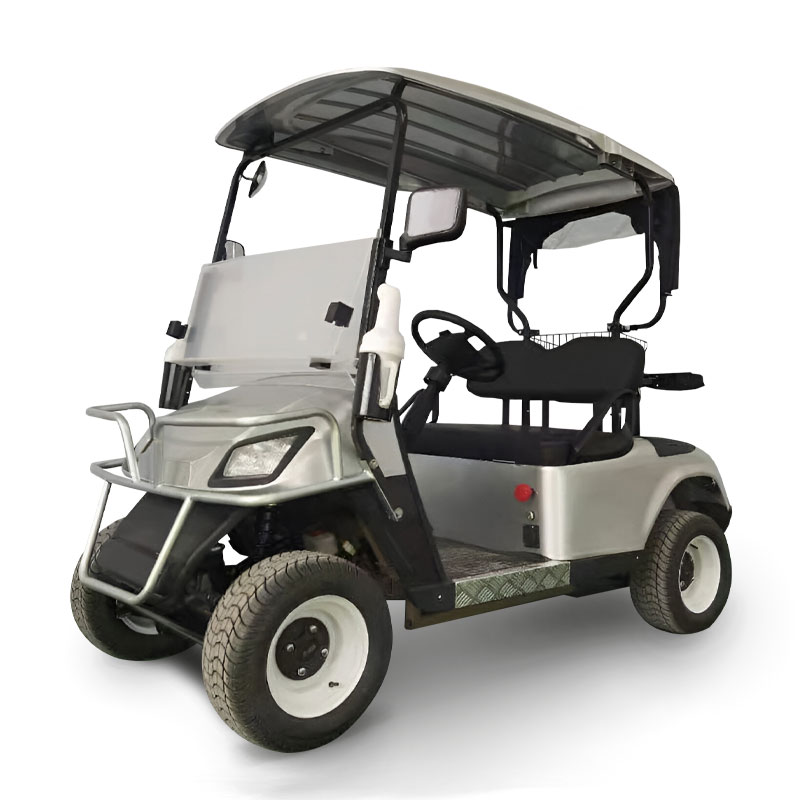 FYD-GL-A2 Silver 2 Seater Golf Cart