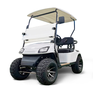 FYD-GL-A2 White 2 Seater Golf Cart