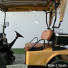 FYD-GL-A2 Gold 2 Seater Golf Cart